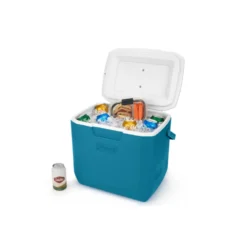 Coleman Chiller™ 30-Quart Portable Cooler -Outdoor camping equipment-Coleman 2160830 3